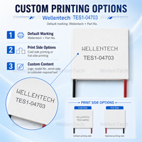 Dispositifs de refroidissement TEC basse consommation TES1-04703 15x23x3.6 mm 5.7 V 9.87 W pour le contrôle de la température de la chambre d'échantillonnage
