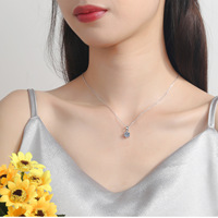 Collier en moissanite Wish Jewelry 0,5/1/2/3/5 carats, bijoux en argent sterling S925 plaqué or blanc, pendentif en diamant