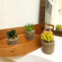 Plante succulente miniature artificielle en pot, verdure en plastique pour la décoration de la maison, du bureau ou de la table.