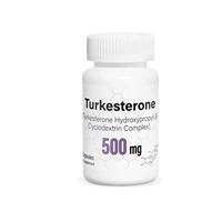 Capsules de bêta-ecdystérone 500 MG d'origine naturelle, option anabolisante, pour stimuler la masse musculaire et améliorer la condition physique chez les adultes