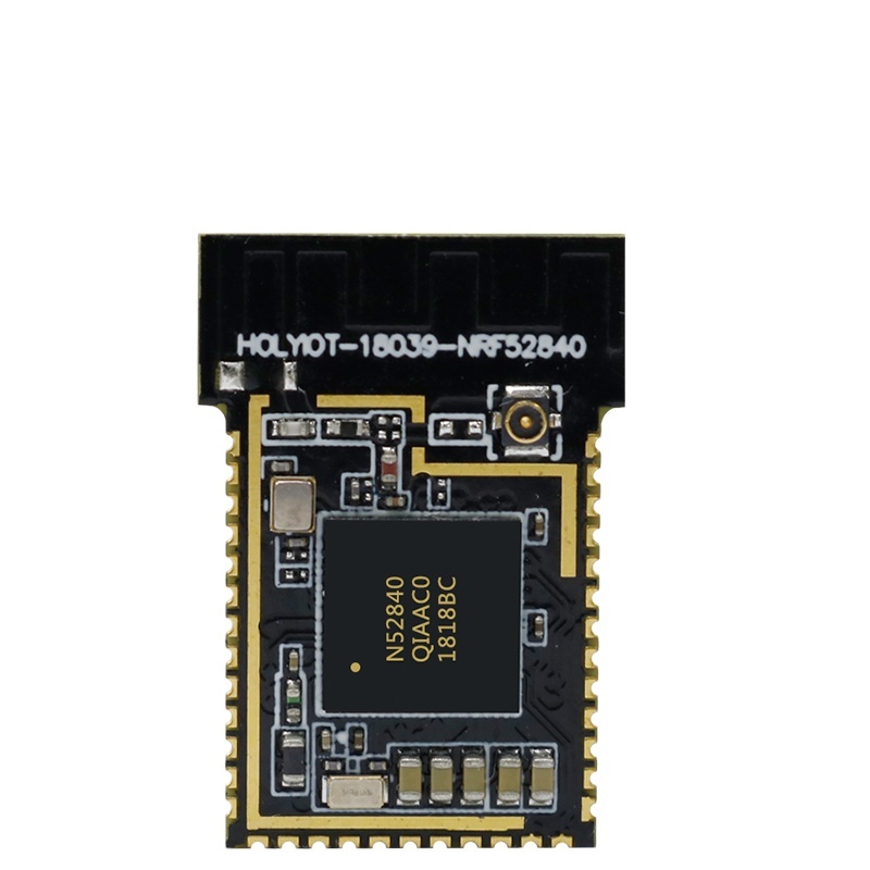 Holyiot 2 4GHz NRF52840 IOT Wireless