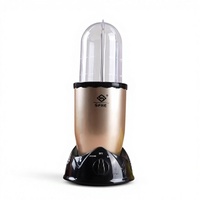 Mixeur Plongeant Électrique 200W, Capacité 0.4L, Faible Bruit, Contenant en Plastique, Commande par Bouton Poussoir pour Smoothies et Shakes