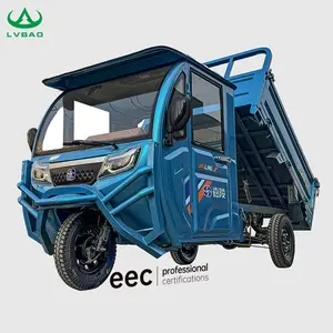 LB-QFB180 Electric Cargo Tricycle 60V100Ah Big Battery Long Range Heavy Load High Quality