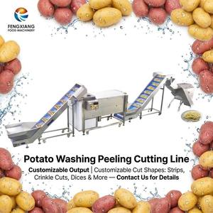 Ligne de lavage, d'épluchage et de découpe de pommes de terre FENGXIANG 700-1000 kg/h 380V Machine industrielle de transformation des pommes de terre en acier inoxydable - Product Image 1