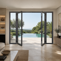 Porte Patio pour Maison, Villa, Jardin, Hôtel, Extérieur – Porte d'Entrée en Aluminium Personnalisée avec Verre – Façade Moderne Résidentielle