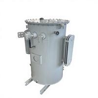 Transformador Monofásico Sumergido en Aceite S11/13 de 400V 220V, Tipo Convencional 13800V 167kVA 75kVA, con Cambiador de Voltaje y Montaje en Poste