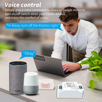 Interrupteur intelligent sans fil SIXWGH Zigbee 2 Gang avec clavier de commande tactile pour éclairage intelligent Alexa Google Assistant Google