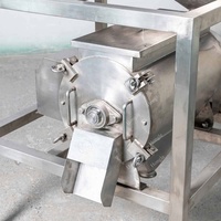 8 Commerciële Maracuya Fruit Juicer Extractor Pulper Automatische Scheiding Sap Pulp Avocado Mango Pulping Machine