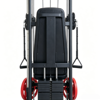 Machine de traction dorsale murale multifonction intégrée pour l'entraînement musculaire des dos, des épaules et des bras – Fitness et musculation