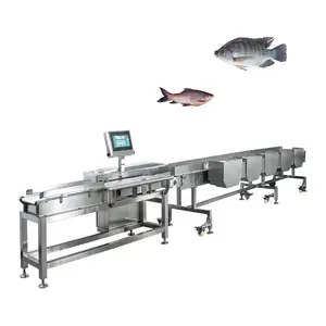 Acquacoltura acquatica ad alta efficienza live small fish filet sorting sorter weight grader basket machine