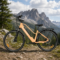 Vélo électrique Odi Plate équipé d'un moteur sans balais haute vitesse de 48V 350W, conçu avec précision, qualité garantie pour vélo de trekking, vélo Tsunami