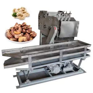 300 kg/h Machine automatique de classement de noix de cajou crue machine de tri de niveleuse HJ-CG01