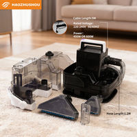Großhandel Tierfleckenentferner Teppichreiniger Trockner Professionelle Handgehaltene Tragbare Fleckenentfernungsmaschine für Sofa, Polster und Teppich