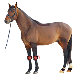 وصل حديثاً تنورة حمراء لعلاج لتخفيف الألم 660nm 850nm للف بالضوء الأحمر لأحذية ساق الحصان - Product Image 1