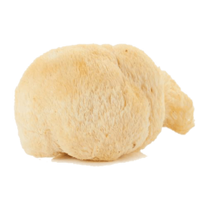 Poudre d'extrait biologique naturel USDA Poudre d'extrait de champignon Crinière de lion Poudre d'extrait de crinière de lion Extracto De Melena De <span class=keywords><strong>Leon</strong></span> - Product Image 2