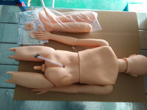 H1 Neuer Typ Weibliches Pflegepuppen-Anatomisches Modell für Medizinische Ausbildung PVC Ganzkörper-Lehrmodelle für Medizinische Fakultäten - Product Image 2