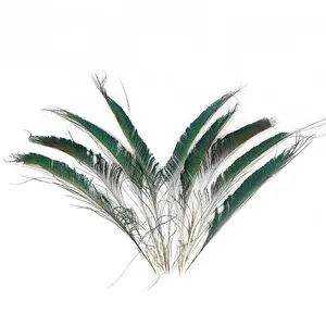 Wholesale peacock sword 30-40 CM decorative feathers peacock edge feathers flower arrangement half pattern feather