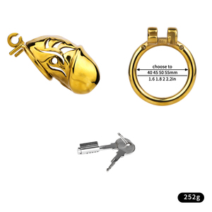 FRRK Cage à pénis couleur or, dispositif de chasteté masculin, verrouillage du pénis, cage à pénis, cage BDSM dorée, jouets sexuels de chasteté pour hommes - Product Image 3