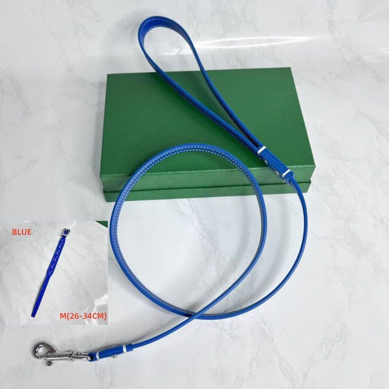 Collier + laisse bleu