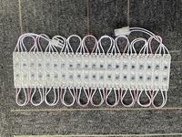 6313 Module LED Alimentation Directe AC 220V pour Panneaux Publicitaires Module LED SMD 2835 1.5W 110V