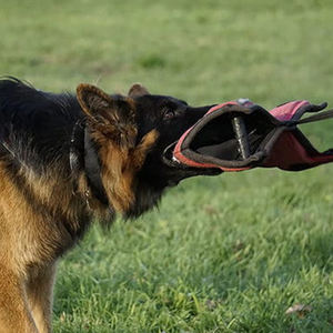 Almohada de Entrenamiento para Perros Ecológica con Asas Resistentes y Correa de Agarre Resistente Forrada con Material de Nailon Suave - Product Image 5