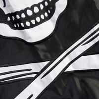 Drapeau de bannière brodée 2025 3x5 FT en polyester avec épées de pirate, accessoire de présentation, imprimé numériquement