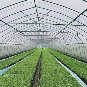 Invernadero de Plástico de Gran Escala con Control Climático Inteligente, Película de PO/PE de Alta Resistencia a los Rayos UV, para Cultivo de Vegetales y Flores - Product Image 5