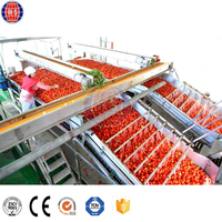 Ligne de production de pâte de tomate prix usine Machine à sauce tomate à haute productivité Ligne de production de concentré de tomate