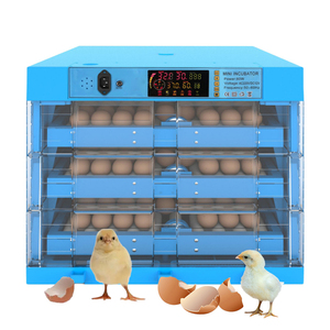 Cao khả năng nở trứng lồng ấp/Đức inkubator/lồng ấp cho gà - Product Image 3