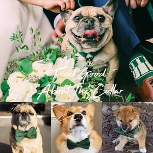 Forest Veet – collier personnalisé pour chien, ensemble laisse et nœud papillon, gravure personnalisée du nom de l'animal, boucle en métal, cadeau d'anniversaire pour chiot, livraison gratuite - Product Image 6