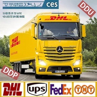 Services de logistique de fret porte-à-porte professionnels, services de transport routier LCL, Chine vers la Belgique, Europe, transport maritime DDP