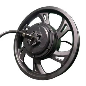 LD14 pollici ad alta potenza 1000w-5500w Dc 14 "Fiido Q1/S ad alta velocità 120 km/h <span class=keywords><strong>LD</strong></span> motore per Fiido e Dyu - Product Image 1