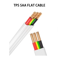Cables Planos Dobles con Conexión a Tierra, Fabricantes de Cables Planos de 3 Núcleos, Cable Plano Paralelo/Cable Plano/Fio FFC, Cable Plano Flexible, Cable SAA