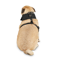 Harnais pour animal de compagnie, accessoire de mariage, smoking pour petit chien, avec nœud papillon, vente en gros