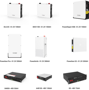 En Stock con 95% de Descuento Limitado Batería de Litio para el Hogar Dyness DL5.0C DL5.0 5kW 51.2V 100Ah BX51100 A48100 5kWh 5.12kWh 48V LiFePO4 - Product Image 5