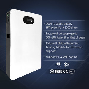 แบตเตอรี่ลิเธียม100Ah ติดผนัง51.2โวลต์48โวลต์แบตเตอรี่ลิเธียมปิดกริด15kWh ลิเธียมต้นทุนพลังงานแสงอาทิตย์สำหรับบ้าน - Product Image 2