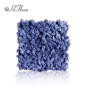 Hflora Offre Spéciale naturel mousse préservée meilleur vendeur préservé renne mousse panneau stabilisé pour la décoration de mariage - Product Image 3