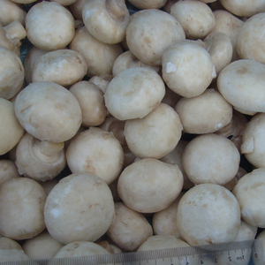 Hongos <span class=keywords><strong>Shiitake</strong></span> Congelados IQF, Corte Entero, <span class=keywords><strong>Boletus</strong></span> Edulis, Mezcla de Hongos Congelados en Rodajas Enteras, OEM ODM - Product Image 6