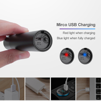 2200mAh Portable Noir UV Filtre 365nm UV Noir Lumière Détecteur Lampe de Poche Rechargeable USB Forte Ultraviolet LED Lampes de Poche