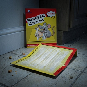 Trampa <span class=keywords><strong>para</strong></span> <span class=keywords><strong>Ratones</strong></span> de Acero con Pegamento Fuerte, Tabla Repelente Ecológica <span class=keywords><strong>para</strong></span> Interiores - Product Image 1