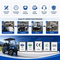 Carrito de Golf para 2 Pasajeros, Neumático 205/50-10, Vehículo Eléctrico de 60V para Turismo, Transporte en Resorts y Campos de Golf, Color Personalizado OEM