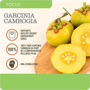Sıcak Fırsat <span class=keywords><strong>Garcinia</strong></span> <span class=keywords><strong>Cambogia</strong></span> Takviyesi - Yüksek Kaliteli, Sağlıklı Kilo Yönetimi için 90 Vejetaryen Kapsül - Product Image 4