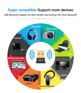 <span class=keywords><strong>Mini</strong></span> USB portátil V5.3 para accesorio de audio y video Blue Tooth Dongle en stock - Product Image 6