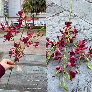 LE-227 Vente en gros directe <span class=keywords><strong>d</strong></span>'usine, orchidée Cattleya artificielle à tige unique, toucher réel, pour mariage et <span class=keywords><strong>d</strong></span>écoration intérieure - Product Image 6