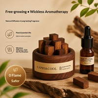 Diffuseur de parfum sans flamme en bois massif à diffusion libre avec arôme pour la décoration intérieure de la maison, de la chambre et du bureau à domicile - Cadeau