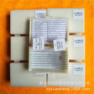 Ensemble de tranches de spécimens pour microscope biologique expérimental (100 types) - Matériel pédagogique biologique - Tranches de spécimens biologiques - Product Image 4