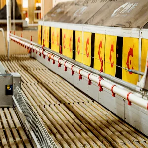 Auto Ei Collection Duurzaam Draagbare Fokker Kip Keten Trog Feeder Drinkers Voor Gevogelte Feeder