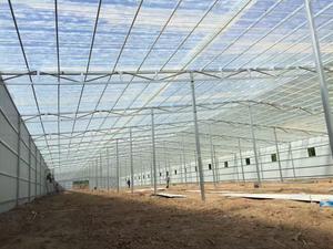 แผ่น<span class=keywords><strong>หลังคา</strong></span>ไฟเบอร์กลาสโปร่งแสง แลงฟาง โบไน บิลดิ้ง แมทериалส์  แผ่น<span class=keywords><strong>หลังคา</strong></span>พลาสติกลูกฟูก FRP - Product Image 6