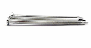 Clous galvanisés ordinaires à tige lisse en acier de 6 mm, prix usine Chine, pour l'architecture - Product Image 5