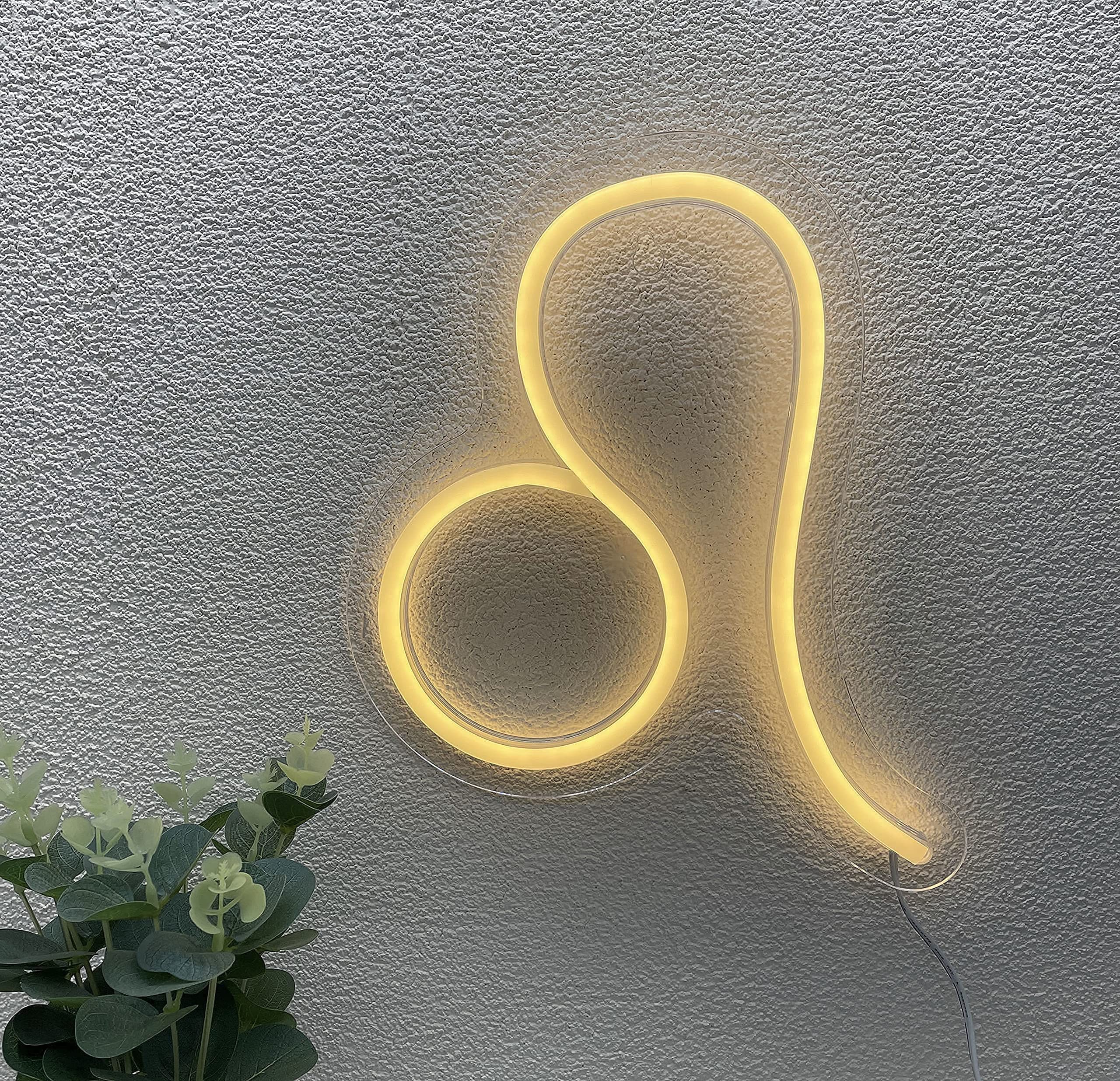 horoscope room light
